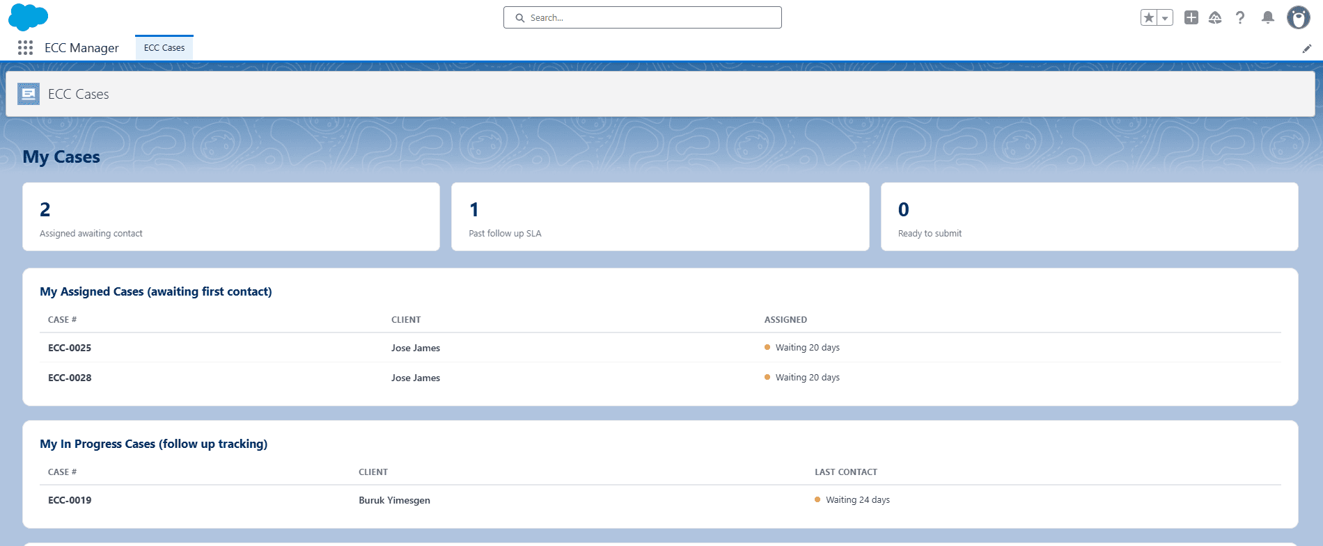 ECC Salesforce Case Management App screenshot